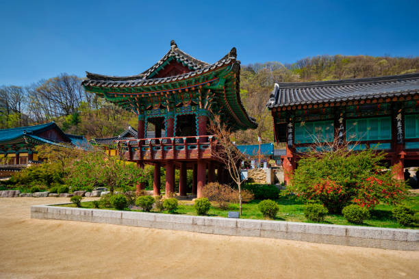 Gangwon-do 2-Day Tour (Inje · Sokcho · Wondae-ri Birch Forest · Seoraksan) – Seoul Departure