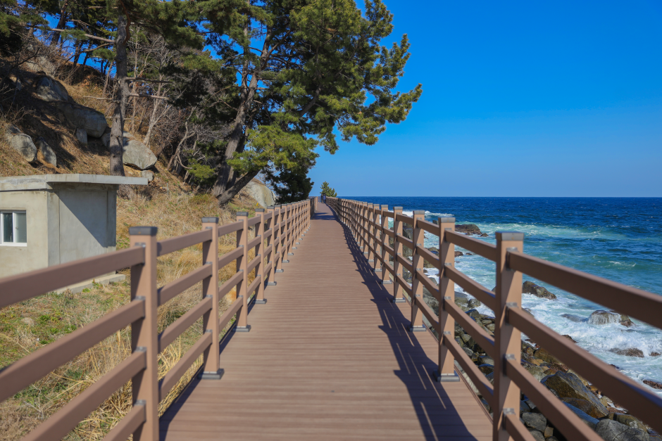 Gangwon-do 2-Day Tour (Inje · Sokcho · Wondae-ri Birch Forest · Seoraksan) – Seoul Departure